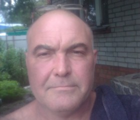 Евгений Боровлев, 55 лет, Воронеж