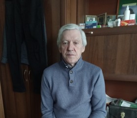 Vladimir, 71, Moscow