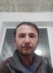 Alisher, 45 лет, Тула