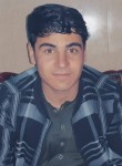 Yar m, 23 года, کابل