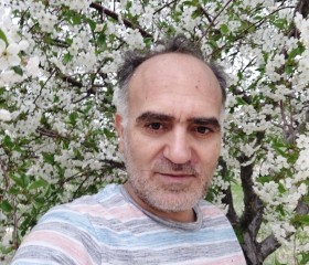 Fereydoun, 47 лет, زنجان
