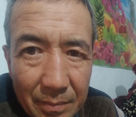 Талант, 48 лет, Алматы