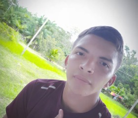 Rodrigo Oliveira, 18 лет, Belém (Pará)