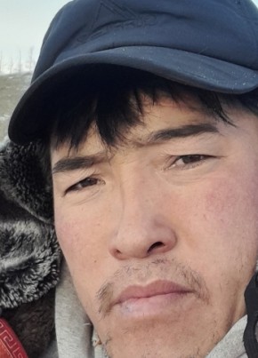 Ol, 20, Монгол улс, Улаангом
