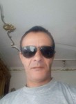 شريف المصرى, 47 лет, المنصورة