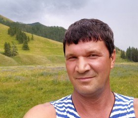 Ник, 45 лет, Апрелевка