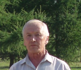 Сергей Иванов, 70 лет, Казань