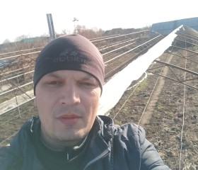 Максим Коргожа, 39 лет, Kitskani