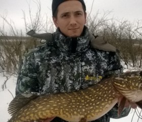 Денис, 39 лет, Горад Гродна