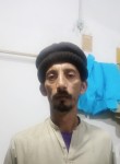 Hamza butt, 31 год, 北京市