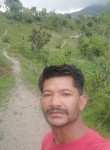 Jagdish chauhan, 35 лет, Shimla