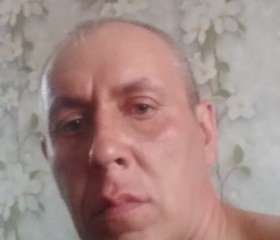 Владимир, 43 года, Зуевка
