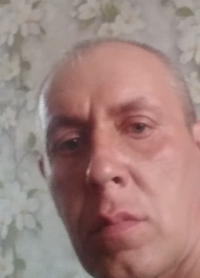 Владимир, 43, Россия, Зуевка