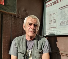 Николай, 70 лет, Подольск