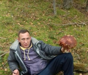 Николай, 43 года, Осташков