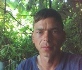 Андрей, 38 лет, Бахмач