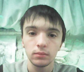 Никита, 27 лет, Ефремов