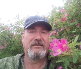Николай, 61 год, Сургут