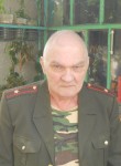 Александр Караев, 66 лет, Ростов-на-Дону