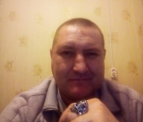 Николай, 50 лет, Сарапул