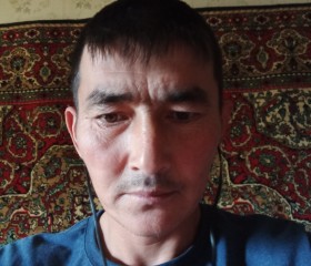 Дамир, 38 лет, Невинномысск