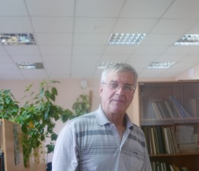 Кириллов Геннади, 68 лет, Новосибирск