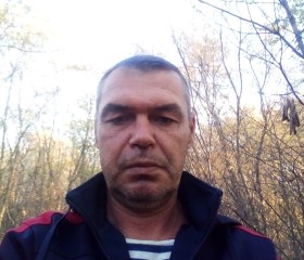 Николай, 49 лет, Новоаннинский