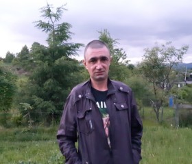 Алексей, 46 лет, Ленинское (Еврейская)