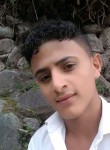 وسيم محمد, 20 лет, صنعاء