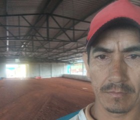 Armando, 38, Cascavel (Parana)