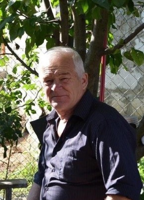 Михаил Сафонов, 72, Россия, Оренбург