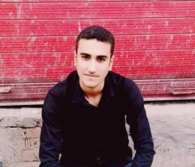 Elshamly, 23 года, القاهرة