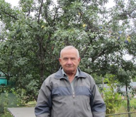 Владимир, 74 года, Камышин