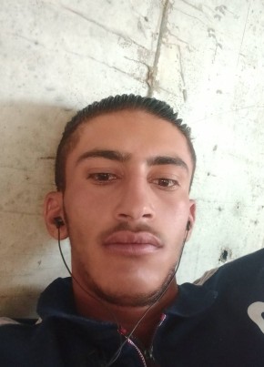 وليدمحمد شلتوت, 26, Egypt, Cairo