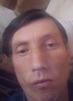 Владимир, 41, Россия, Красноармейск (Саратовская обл.)