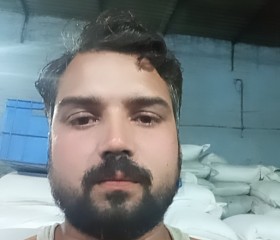 Raj yadav, 28 лет, Delhi