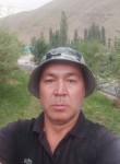 Асан Жуманалиев, 45 лет, Бишкек