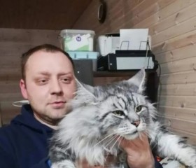 Егор, 41 год, Ярославль