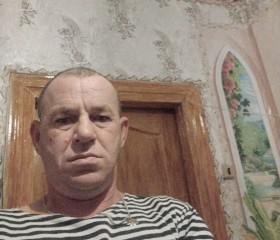 Vladimir, 49, Thanesar