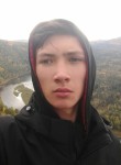 Дмитрий, 18 лет, Красноярск