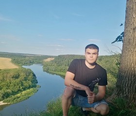 Владимир, 27 лет, Лиски