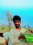 Umarkhan Talpur, 18 лет, مُظفّرگڑھ‎