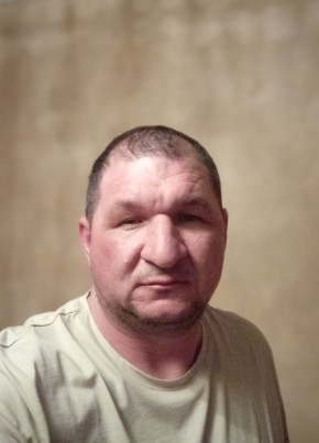 Тарас, 42, Россия, Михайловск (Ставропольский край)
