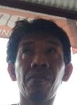 Mad Rais, 43 года, Kota Palembang