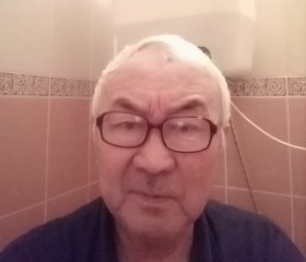 Михаил, 73 года, Улан-Удэ