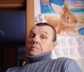 Владимир, 63 года, Волчиха