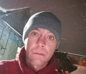 Алексей, 41 год, Железногорск (Курская обл.)