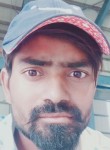 Pawan Kumar, 29 лет, Lucknow
