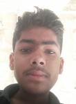Singh, 24 года, Kanpur