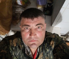 Эльвир Сагитов, 46 лет, Уфа